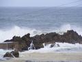 Ocean