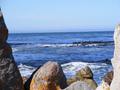 Ocean